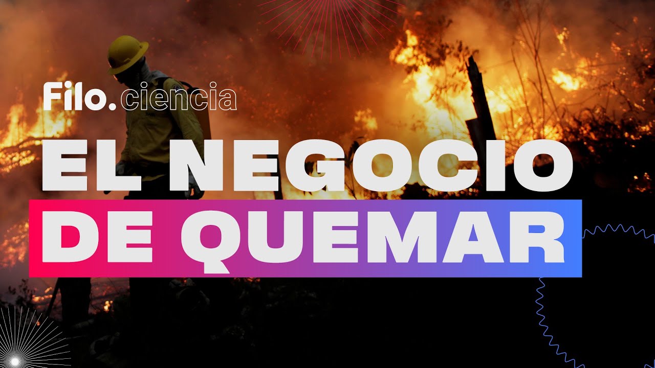 ¿Quiénes están detrás de los incendios y por qué no tenemos Ley de Humedales?