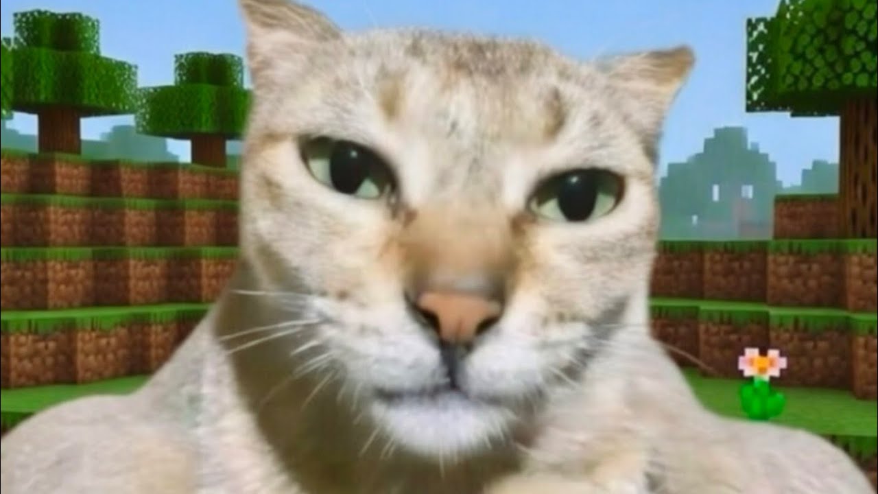 Random Clips #153