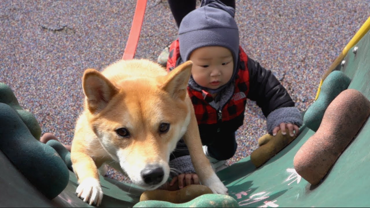 Dog and Baby...Rock Climb?!
