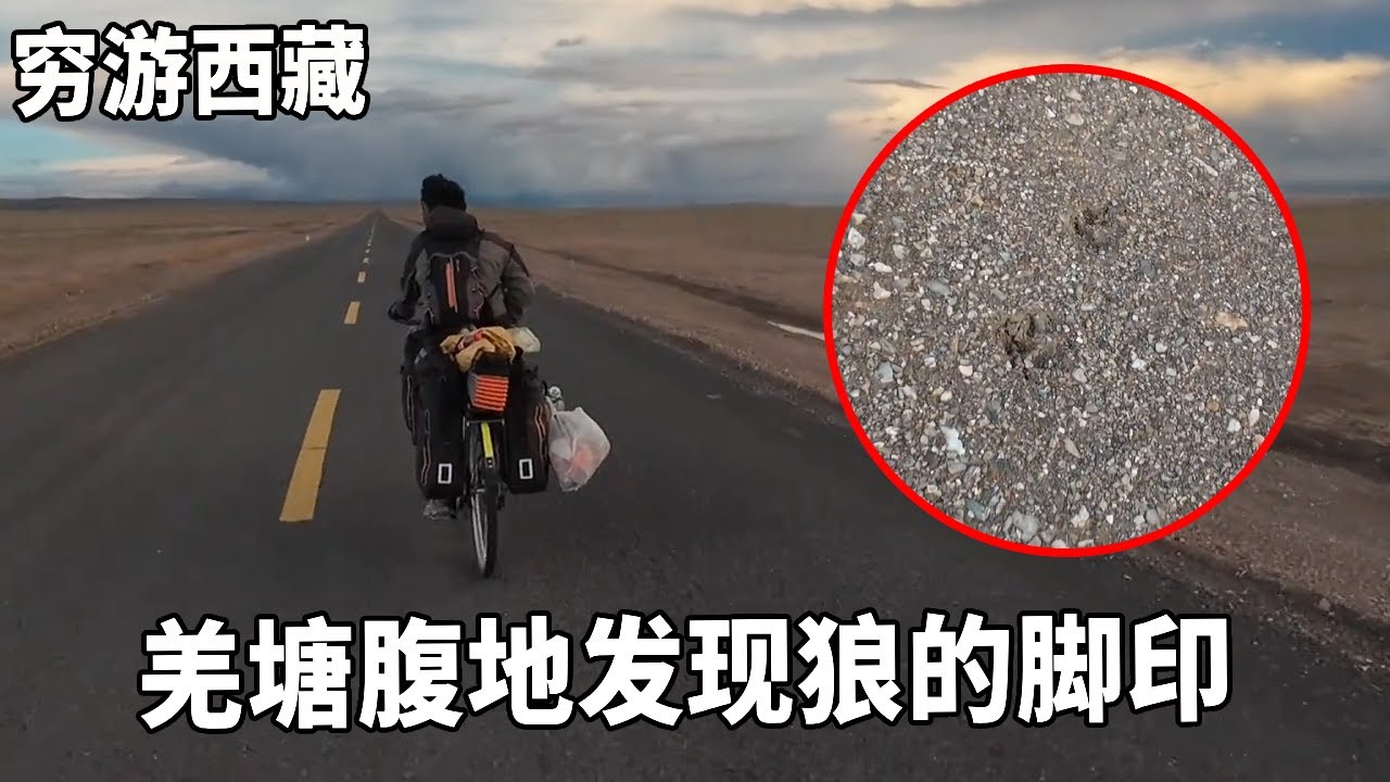 穷游兄弟自行车骑行西藏，羌塘腹地发现狼的脚印，无奈继续赶路到晚上12点【云游兄弟】