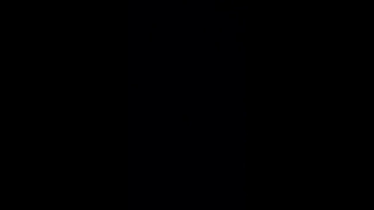 WW1 Trench Whistle (Sound effect)