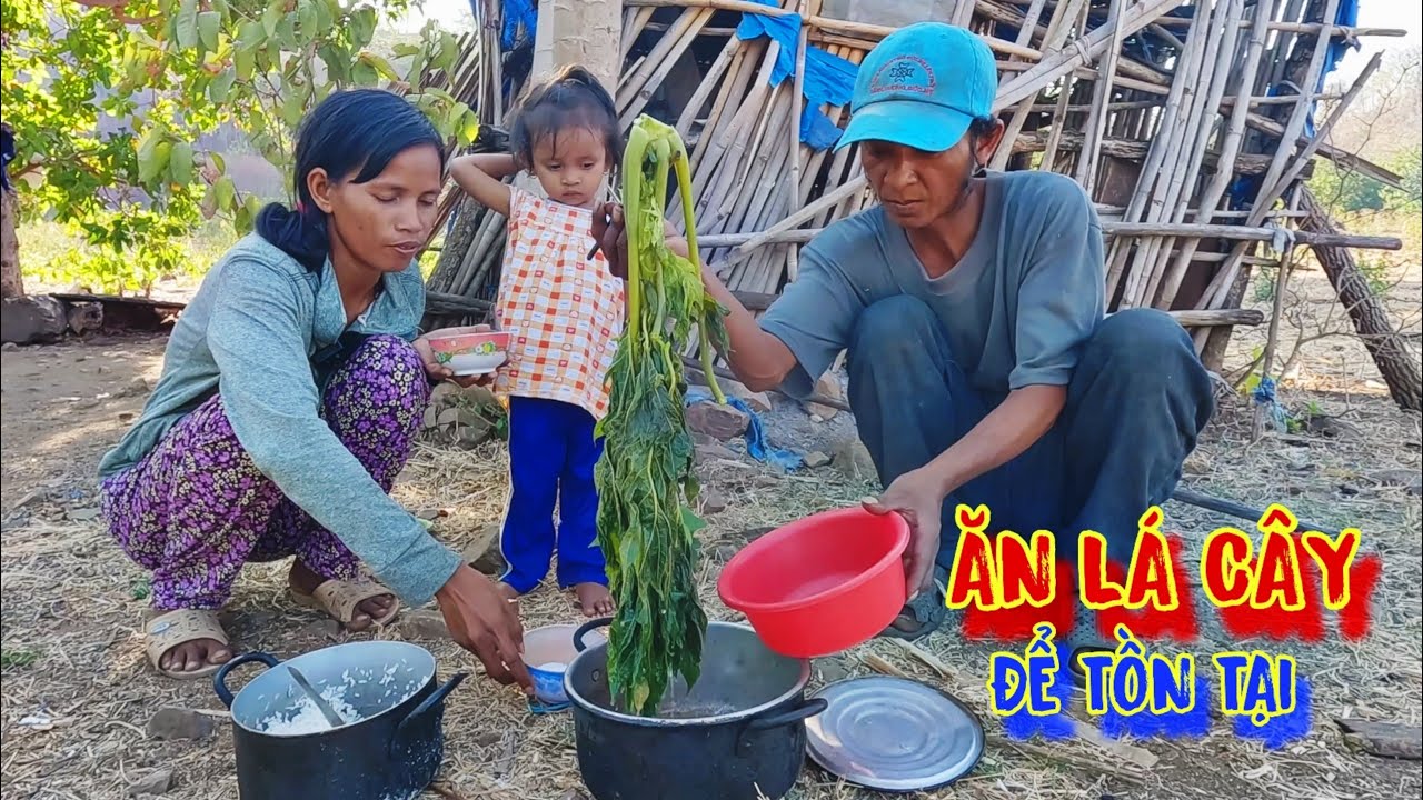 Ở NHÀ mục nát, ăn LÁ CÂY rừng, uống nước suối, để TỒN TẠI - tập 1025