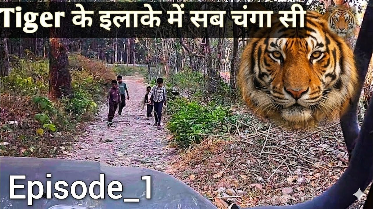 Ep-1 बाघ के इलाके में जंगल में  छुपा एक छोटा सा गाँव _चोपरा village की दास्तां  I Sitabani I Corbett
