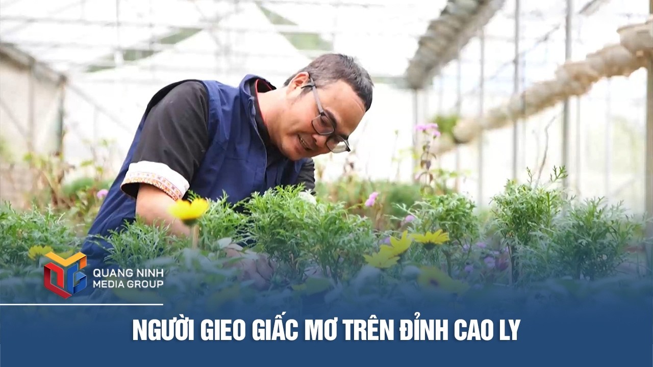 Người gieo giấc mơ trên đỉnh Cao Ly