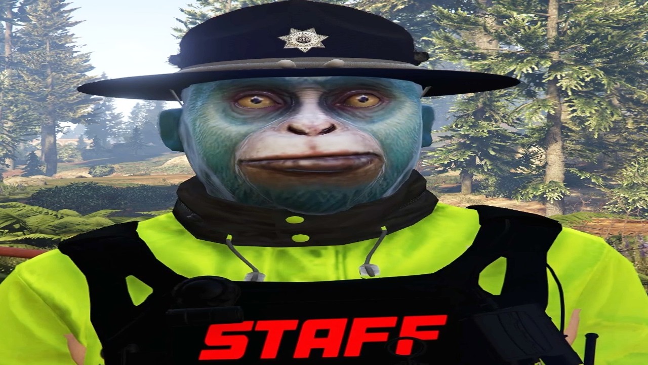 buying moderator in gta 5 rp