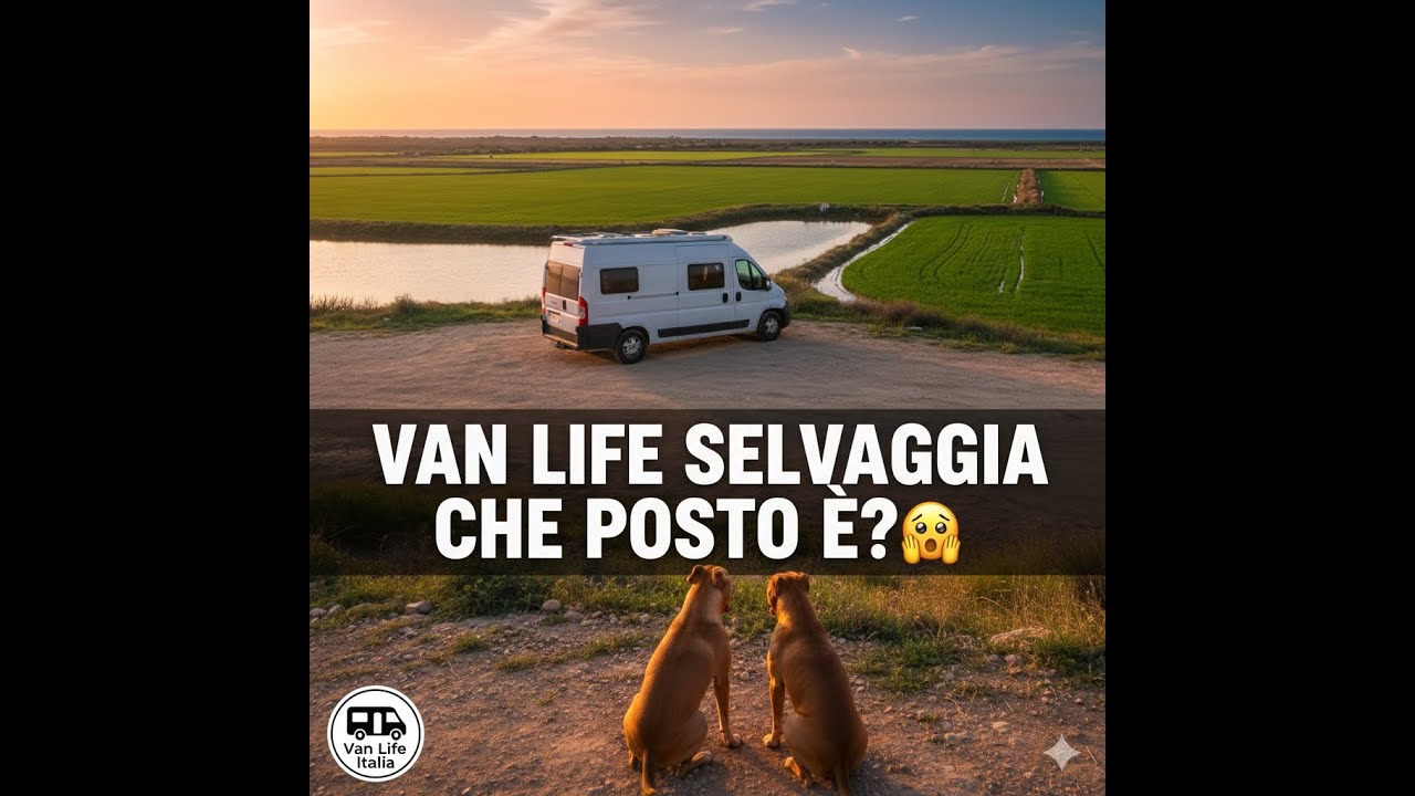Giorno 3 - PERSI NELLE RISAIE 🌾Paella d'anatra 10 e lode! 😱 Abbiamo trovato uno spot incredibile!