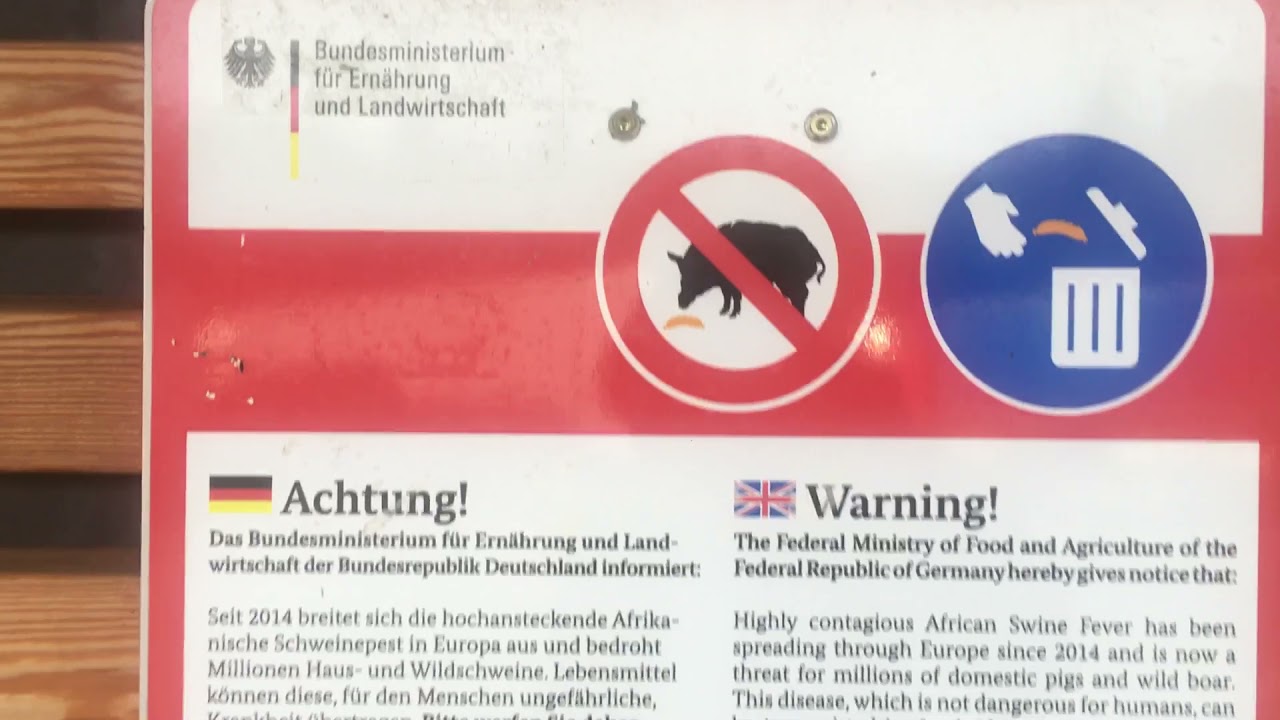 Germania cu covrigi in coada!?