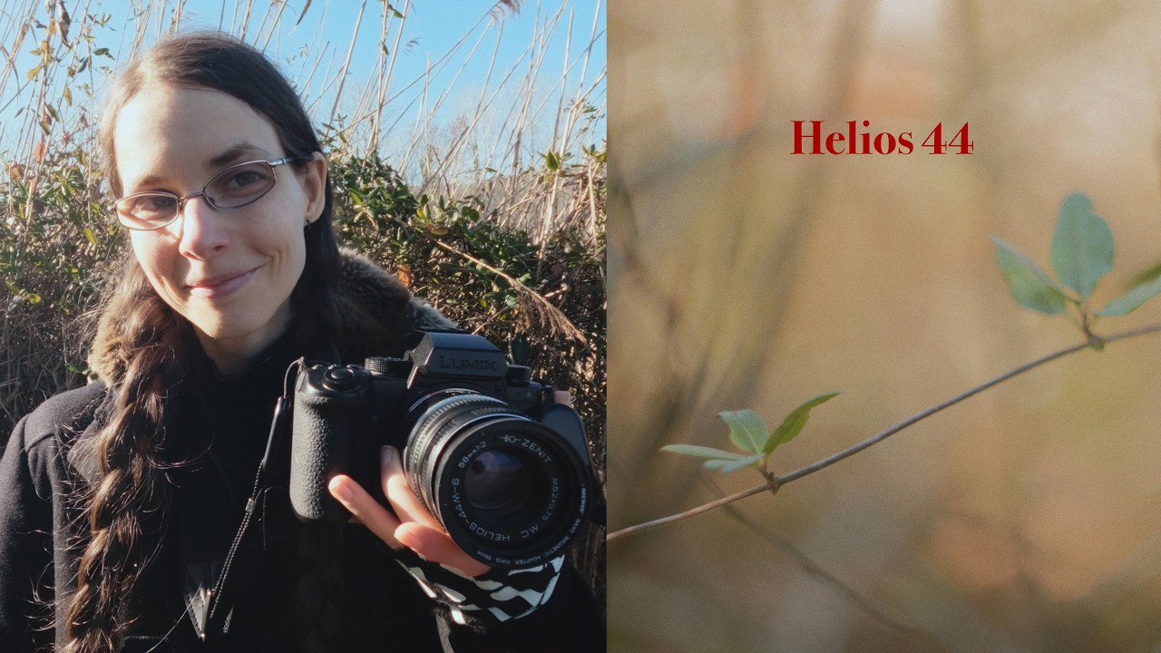 Calm landscape photography in the woods - Lumix S5 IIx