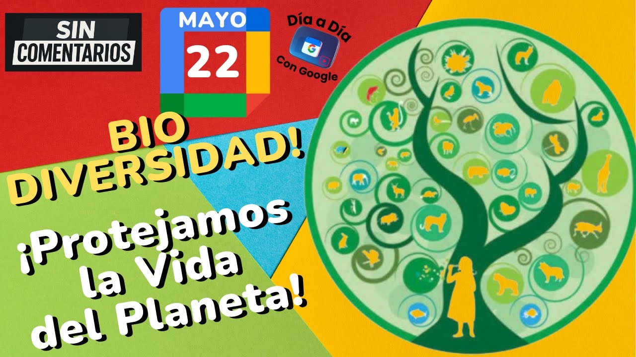 🌍 SIN COMENTARIOS. ¿Por Qué la Biodiversidad es Clave para la Vida en la Tierra?