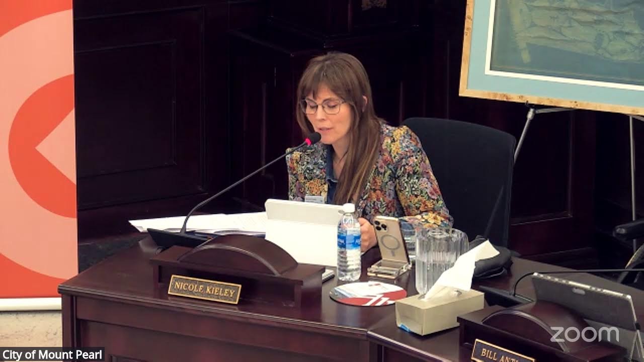 Public Council Meeting - February 3, 2026