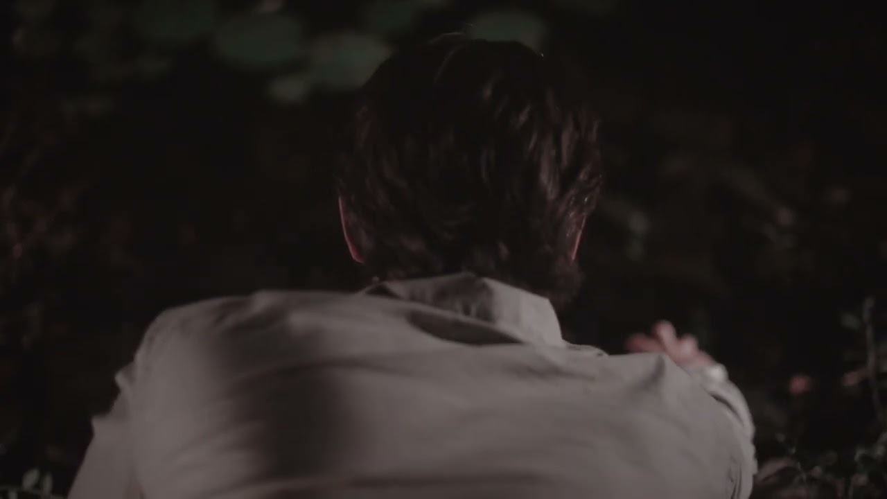 Rivulets - Into The Night (Official Music Video)