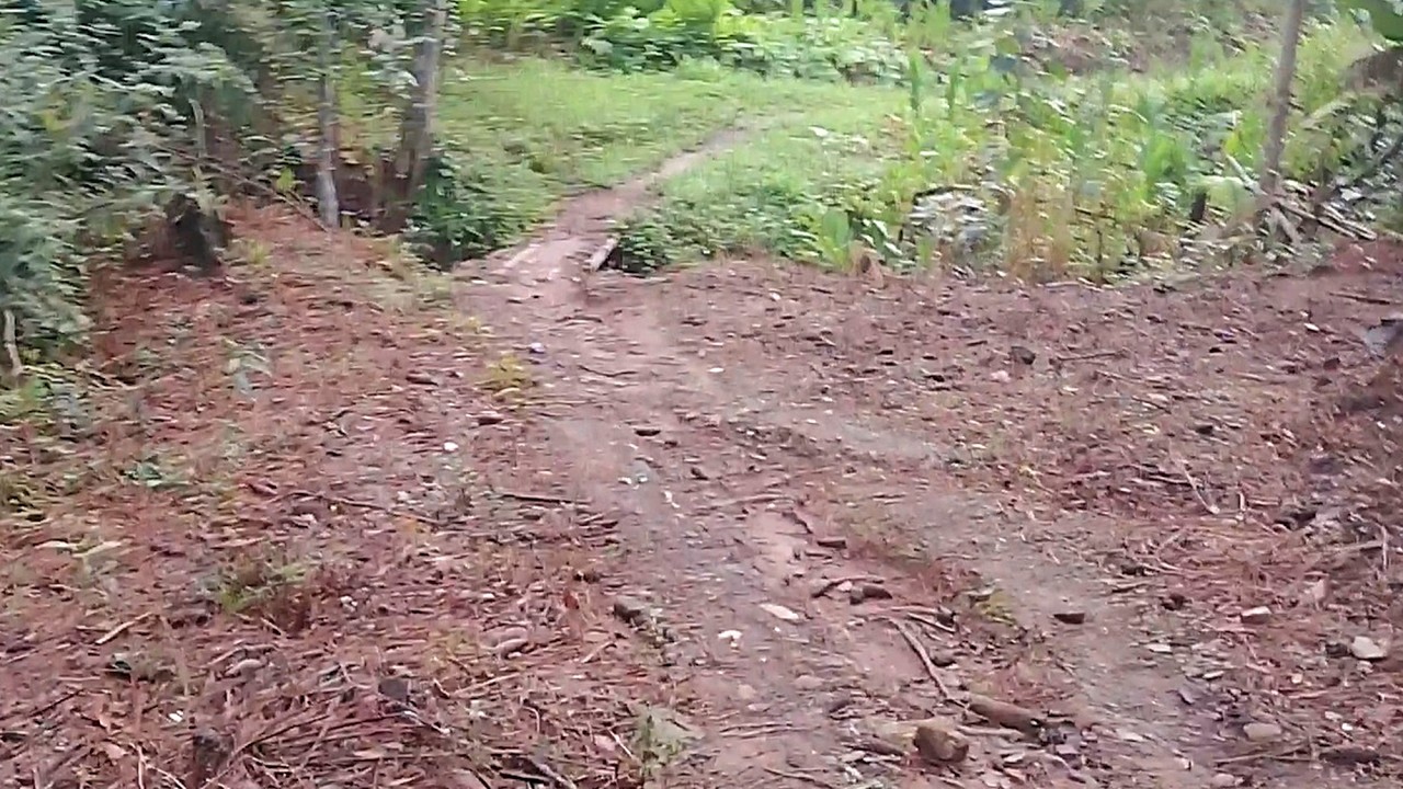 Fazendo uma caminhada pelo bairro