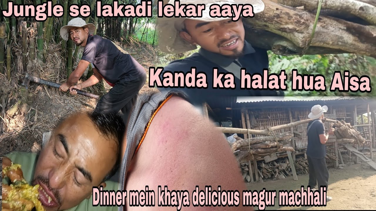 Jungle se lakadi lekar aaya//Dinner mein khaya delicious MAGUR machhali