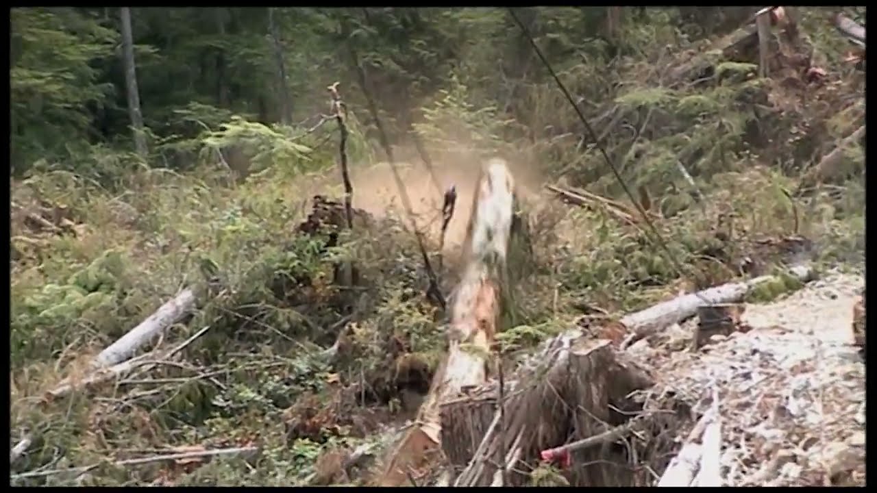 FS 22  Silverrun for real  04 high lead logging