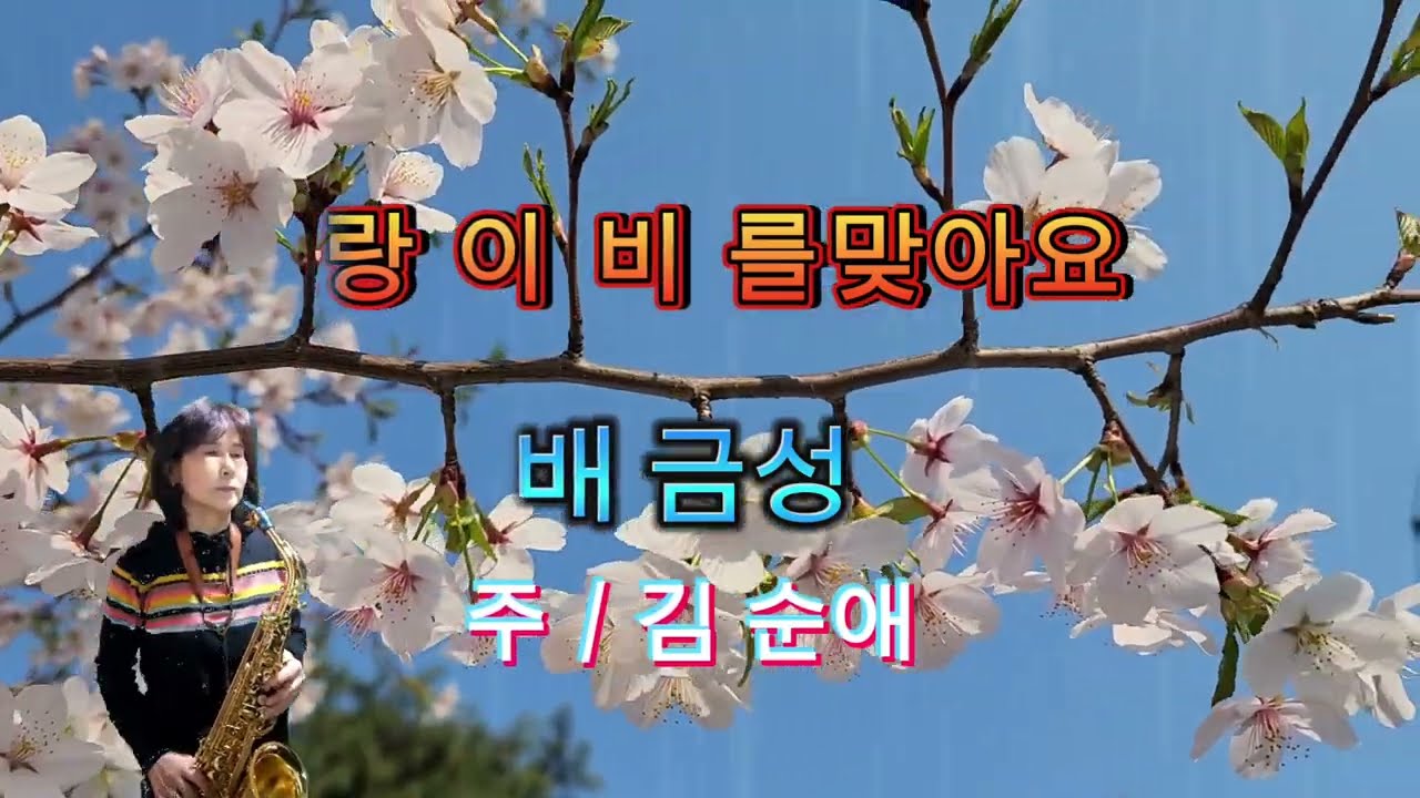#사랑이비를맞아요(배금성)#김순애색소폰연주