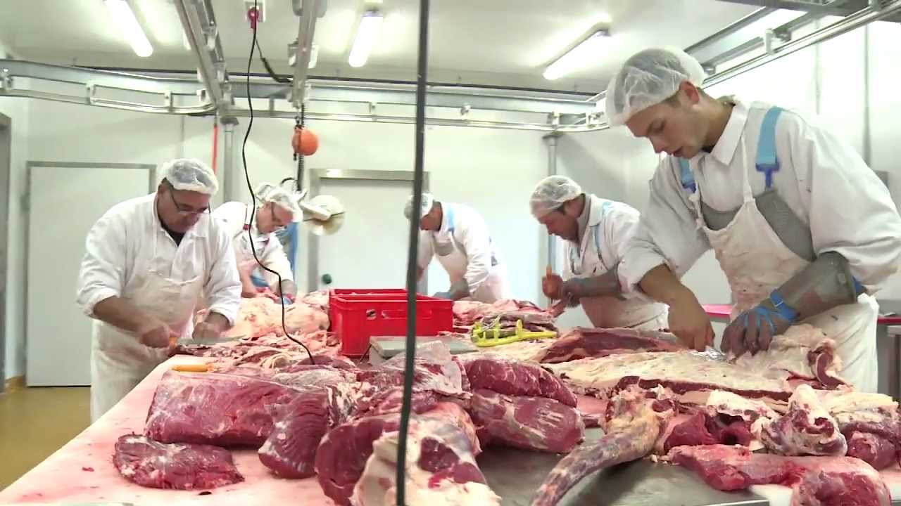 Bio et local en restauration collective : c'est possible !