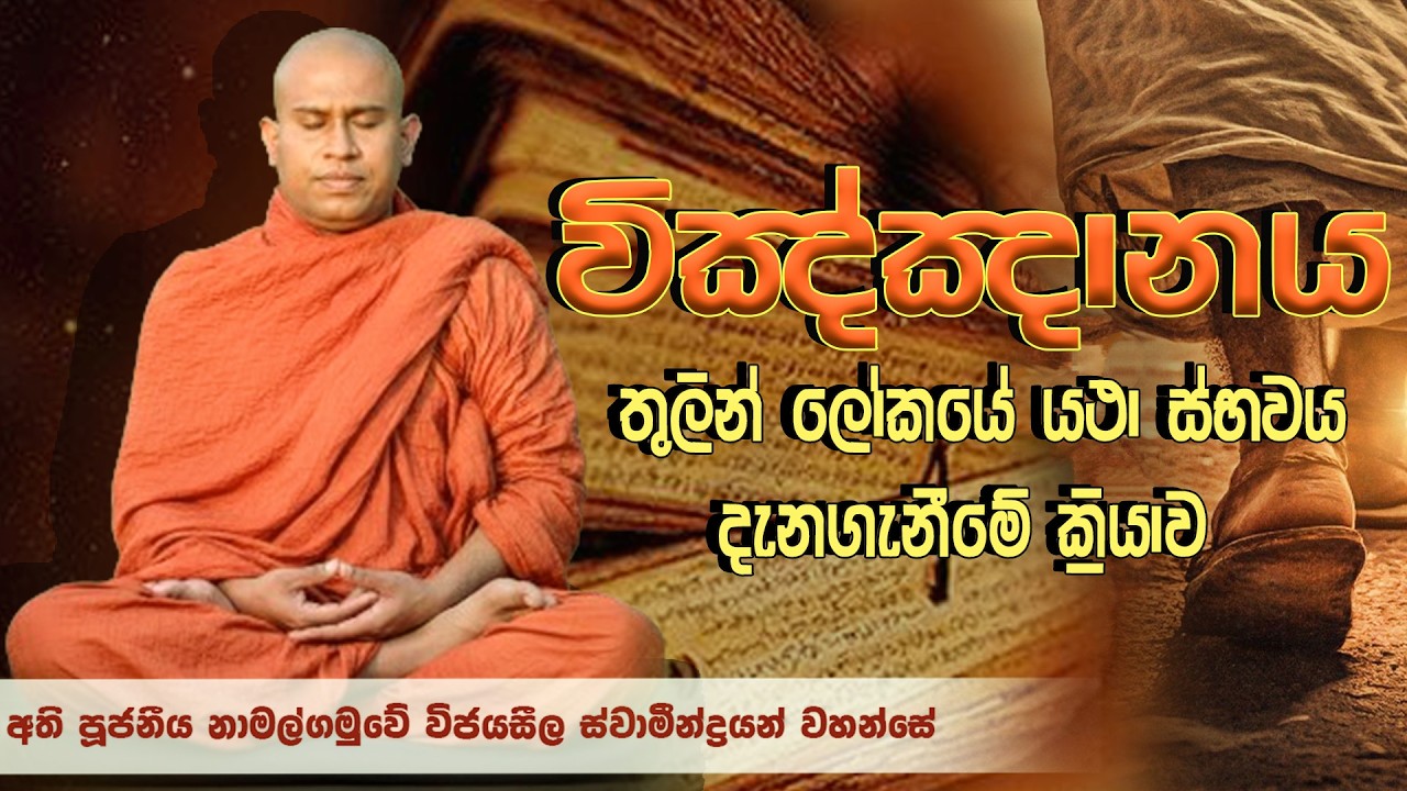 විඤ්ඤානය තුලින් ලෝකයේ යථාස්භාවය දැනගැනීමේ ස්භාවය│Ven. Namalgamuwe Wijayaseela Thero | Dharma deshana