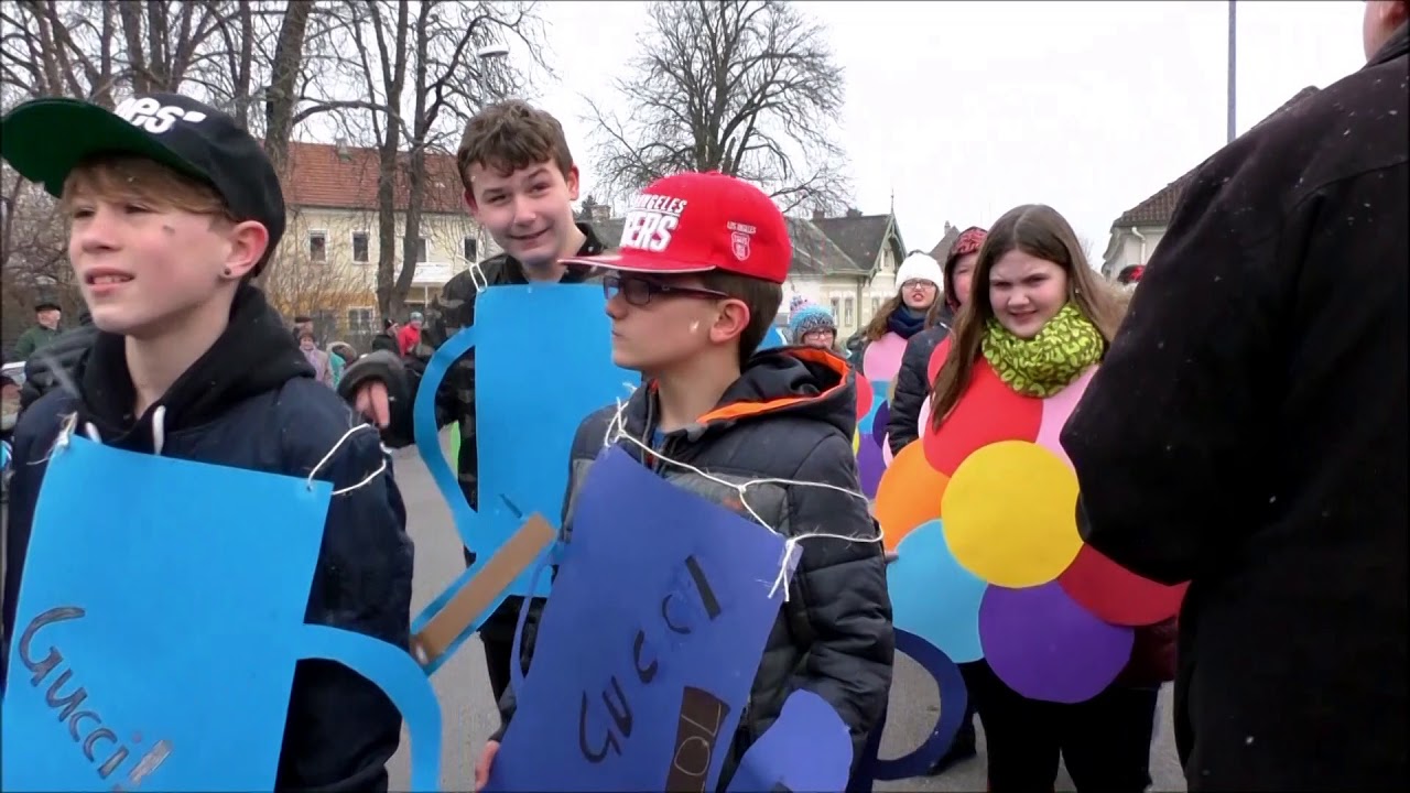 Faschingsumzug 2018 NMS Zistersdorf