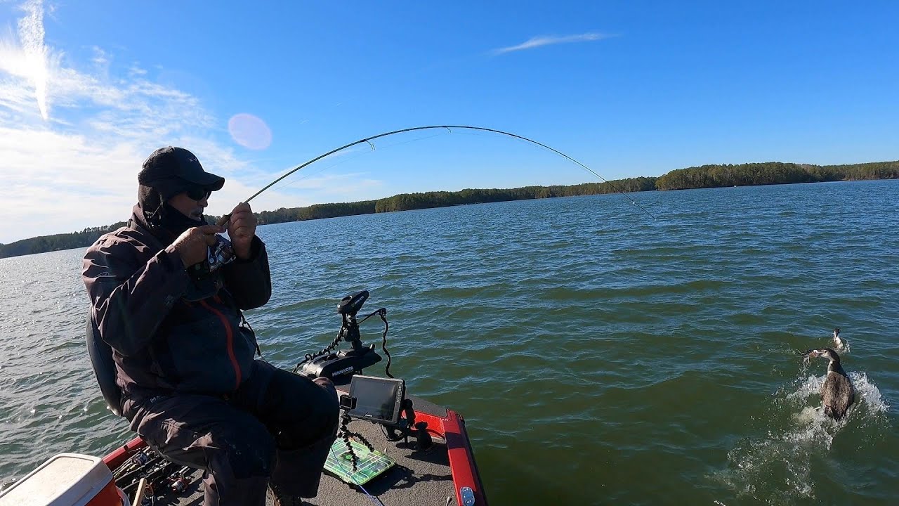 Fishing With Looney, Bass & Perch, Lake Monticello