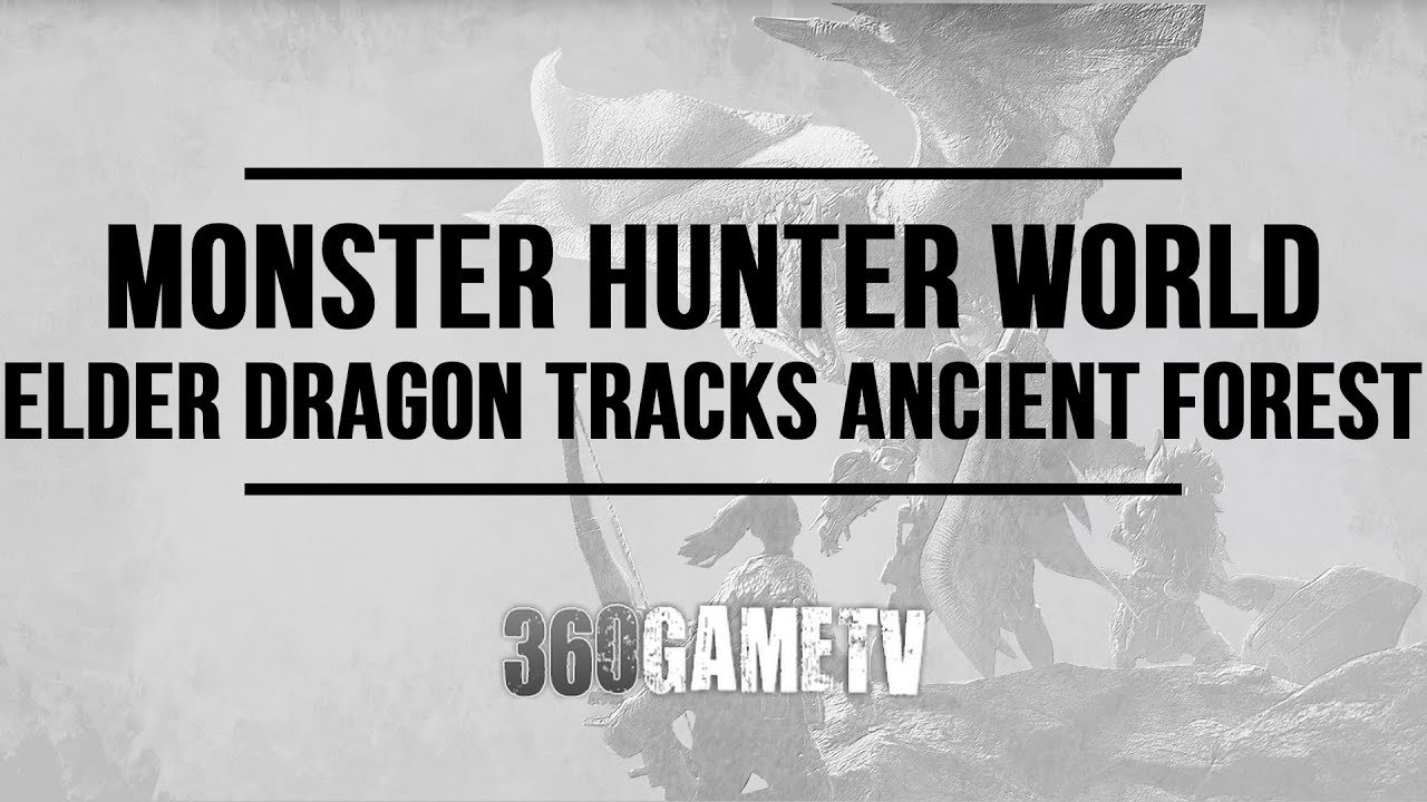 Monster Hunter World Elder Dragon Track Locations in Ancient Forest(How to find Elder Dragon Tracks)