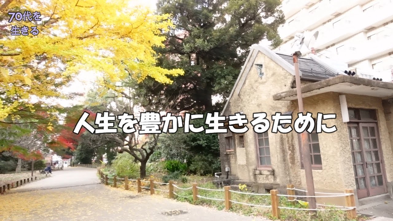 【70代を生きるNo.254】人生を豊かに生きるために、不完全であることを受け入れる勇気。新宿御苑の紅葉狩り。自家製パンの柿ジャムサンドでランチ。水彩画は旧新宿門門衛所
