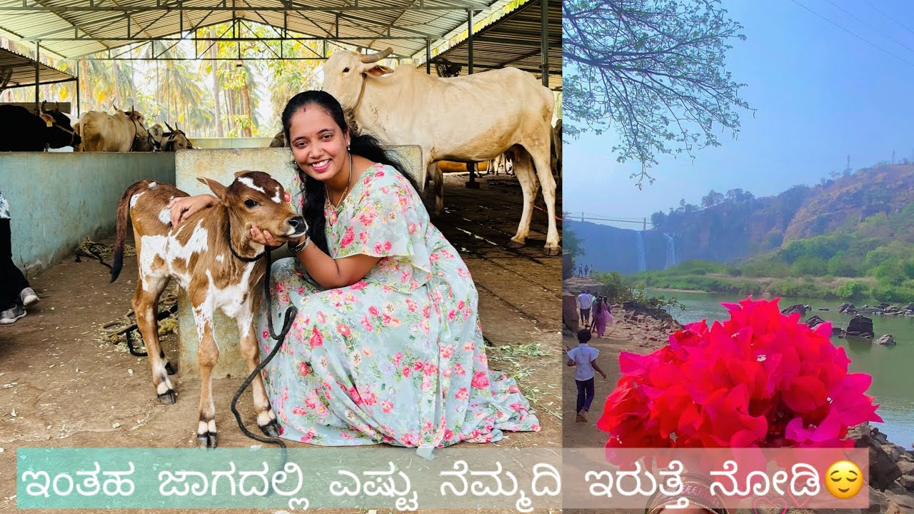 ಇಂತಹ ಜಾಗದಲ್ಲಿ ಎಷ್ಟು ನೆಮ್ಮದಿ ಇರುತ್ತೆ ನೋಡಿ😍😌