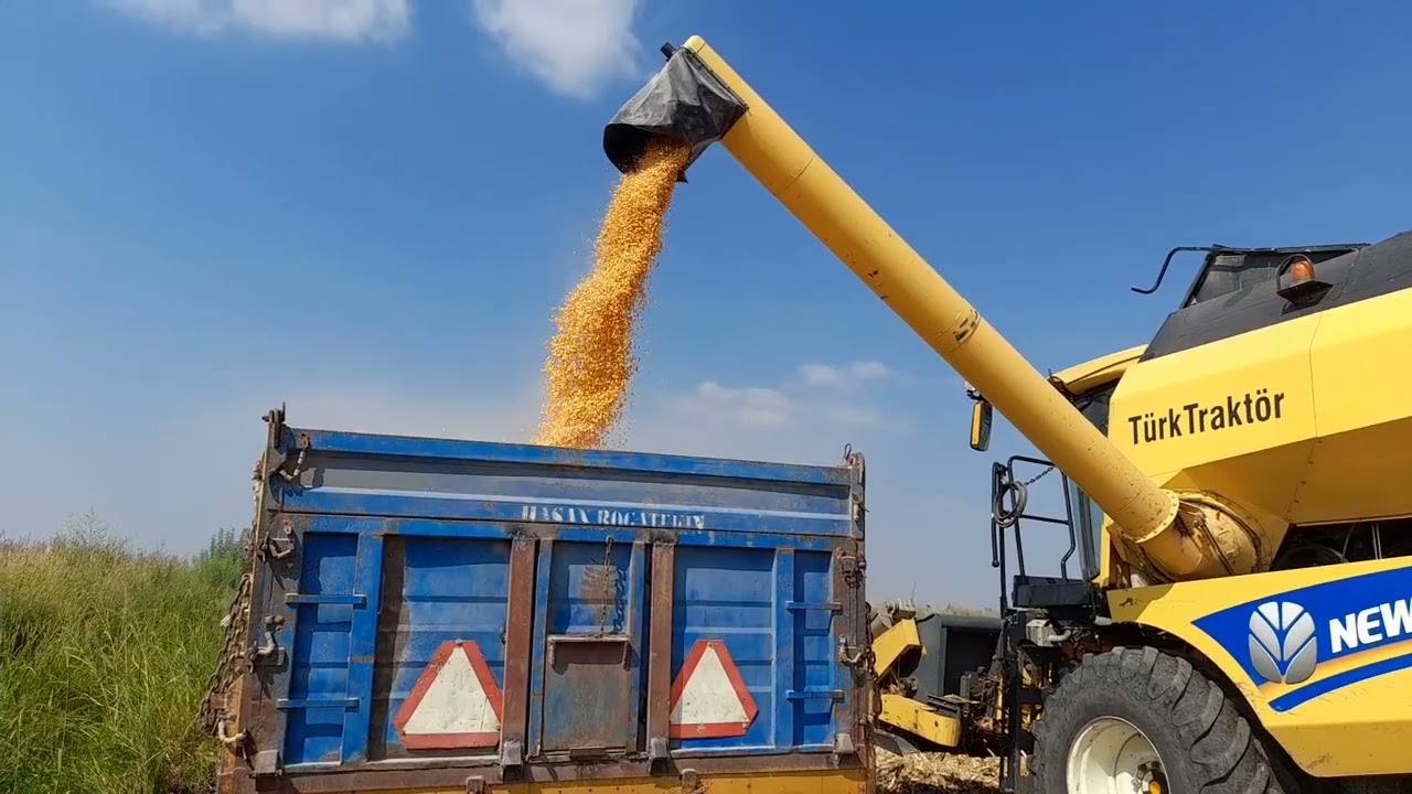 TC5.80 Newholland Mısır biçimi