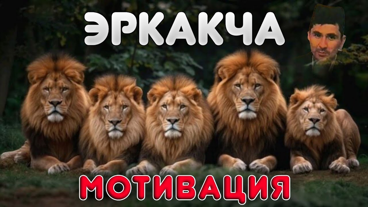 Уйғон! Эркакча мотивация! |Абдуллох Домла 2026 |Abdulloh Domla 2026 #abdullohdomla #ilmnuri #yangi