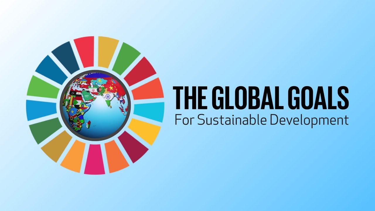 UN Sustainable Development Goals | Introduction