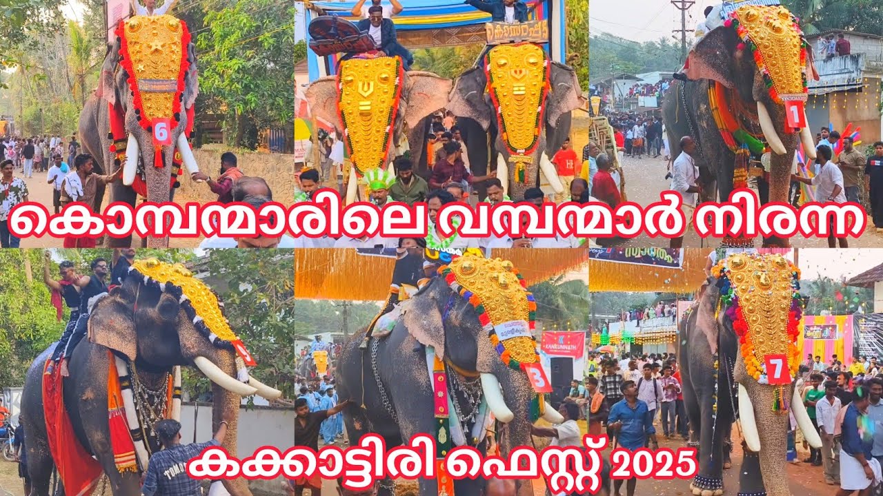 കൊമ്പന്മാരിലെ വമ്പന്മാർ അണി നിരന്ന കക്കാട്ടിരി ഫെസ്റ്റ് 2025 KAKKATTIRI FEST 2025