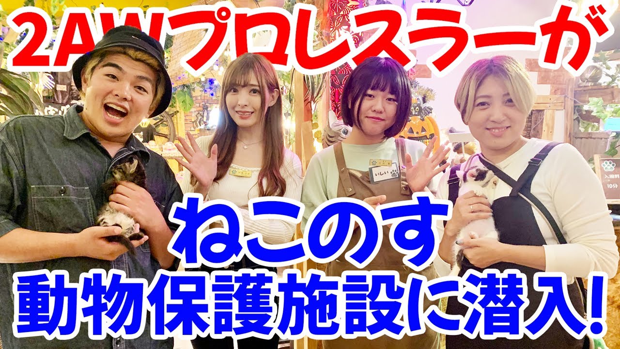 【プロレスラー潜入報告】千葉みなと・ねこのす動物保護施設に2AW花見＆進垣が来訪！【保護猫ちゃん】