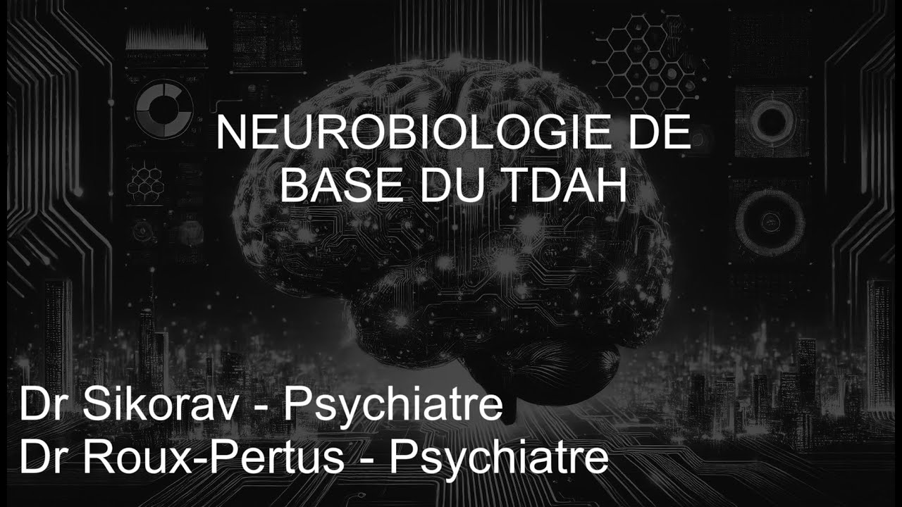 TDAH Neurobio Formation continue 02/04