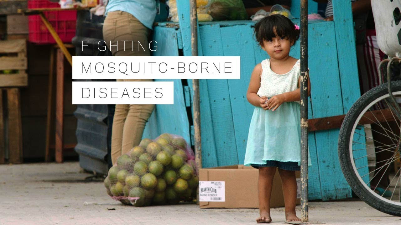 Fighting Mosquito-borne Diseases