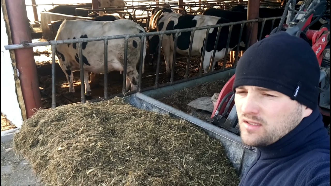CUM SE FACE FURAJUL LA REMORCA TEHNOLOGICA! #tractorvlog