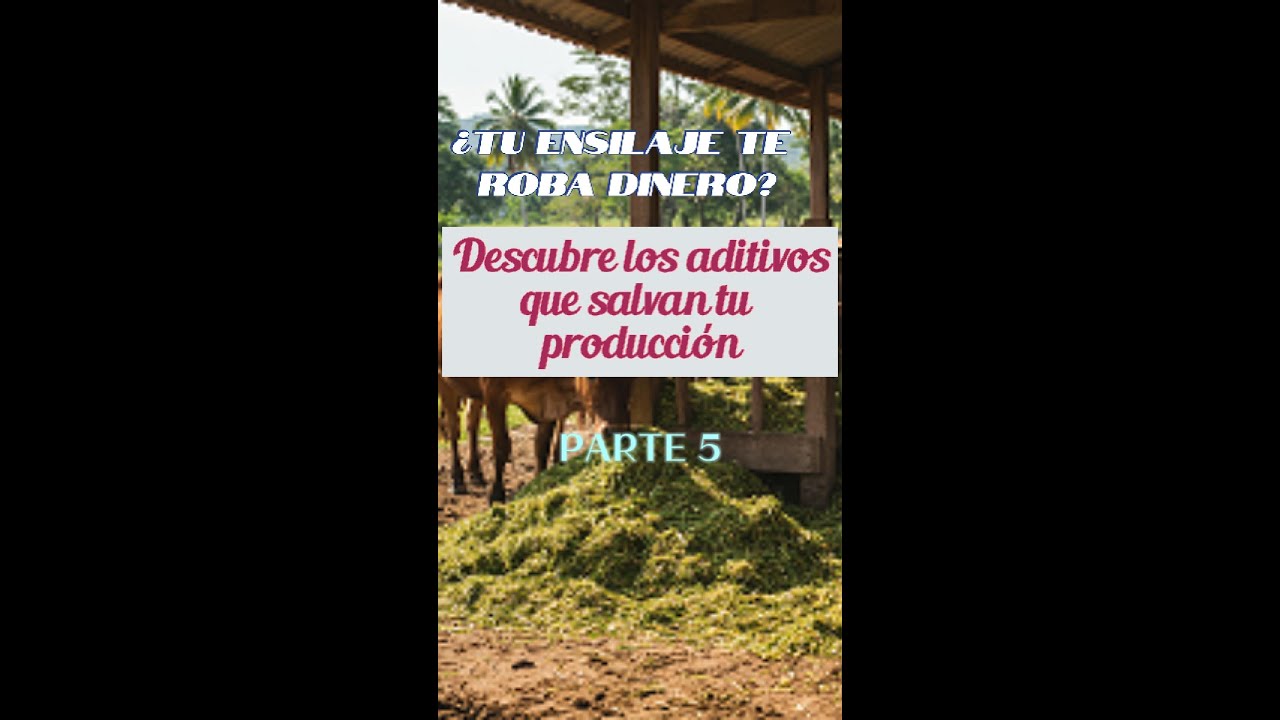 Descubre los aditivos para mejorar tu ensilaje