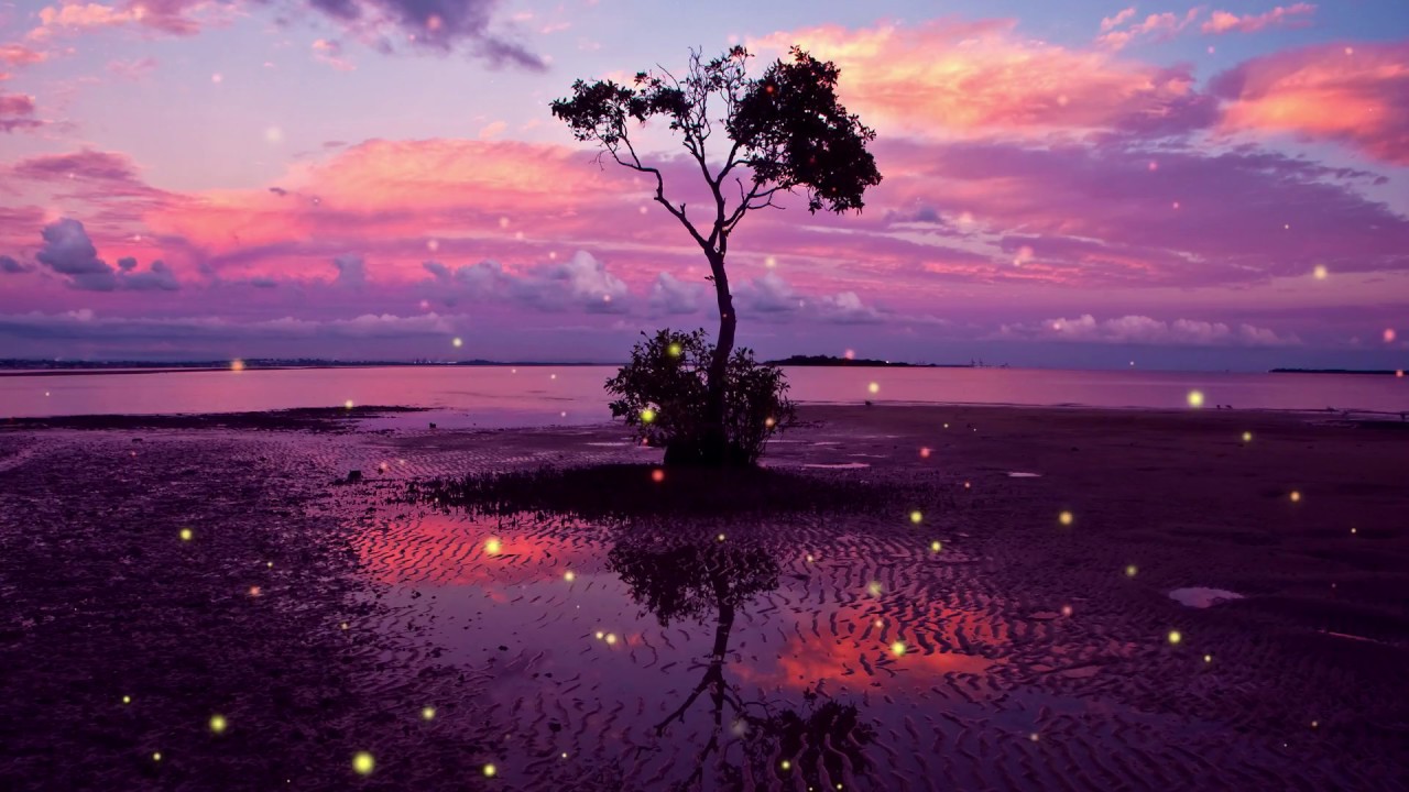 Aso - Ultra Violet