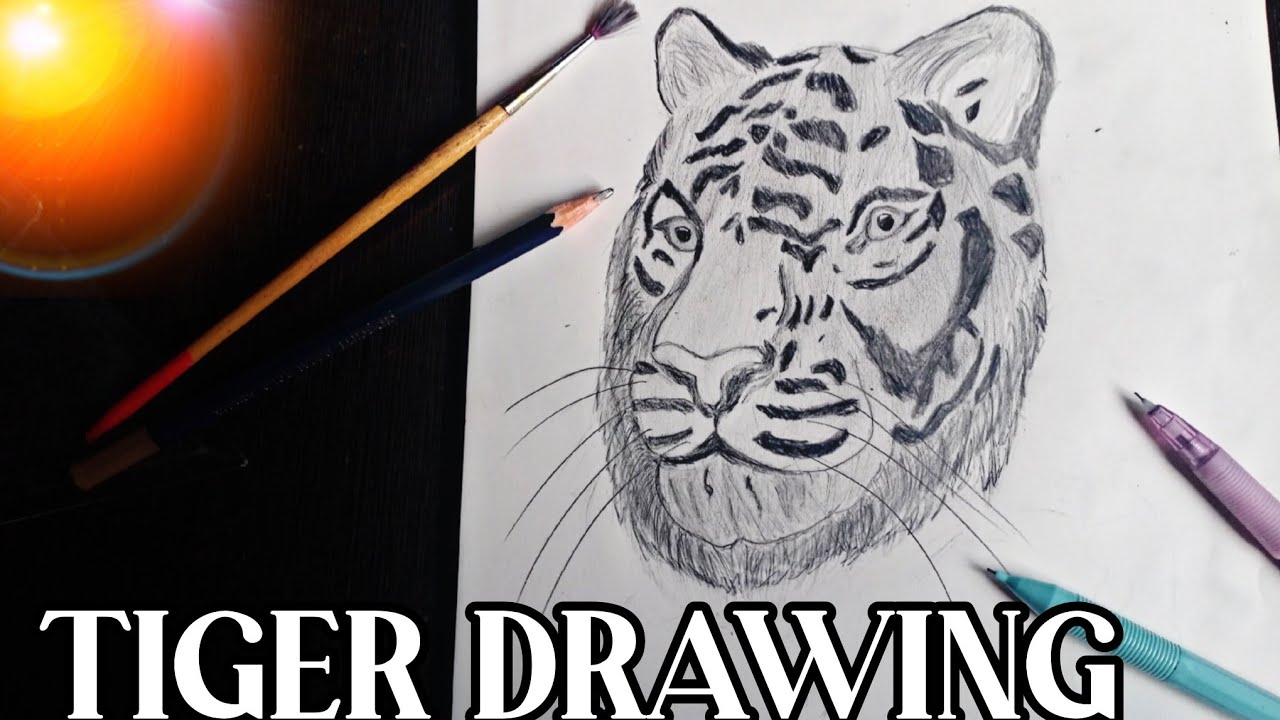 MAINE TIGER 🐯 KI DRAWING BANAI मैने टायगर की ड्रॉईंग बनाई 