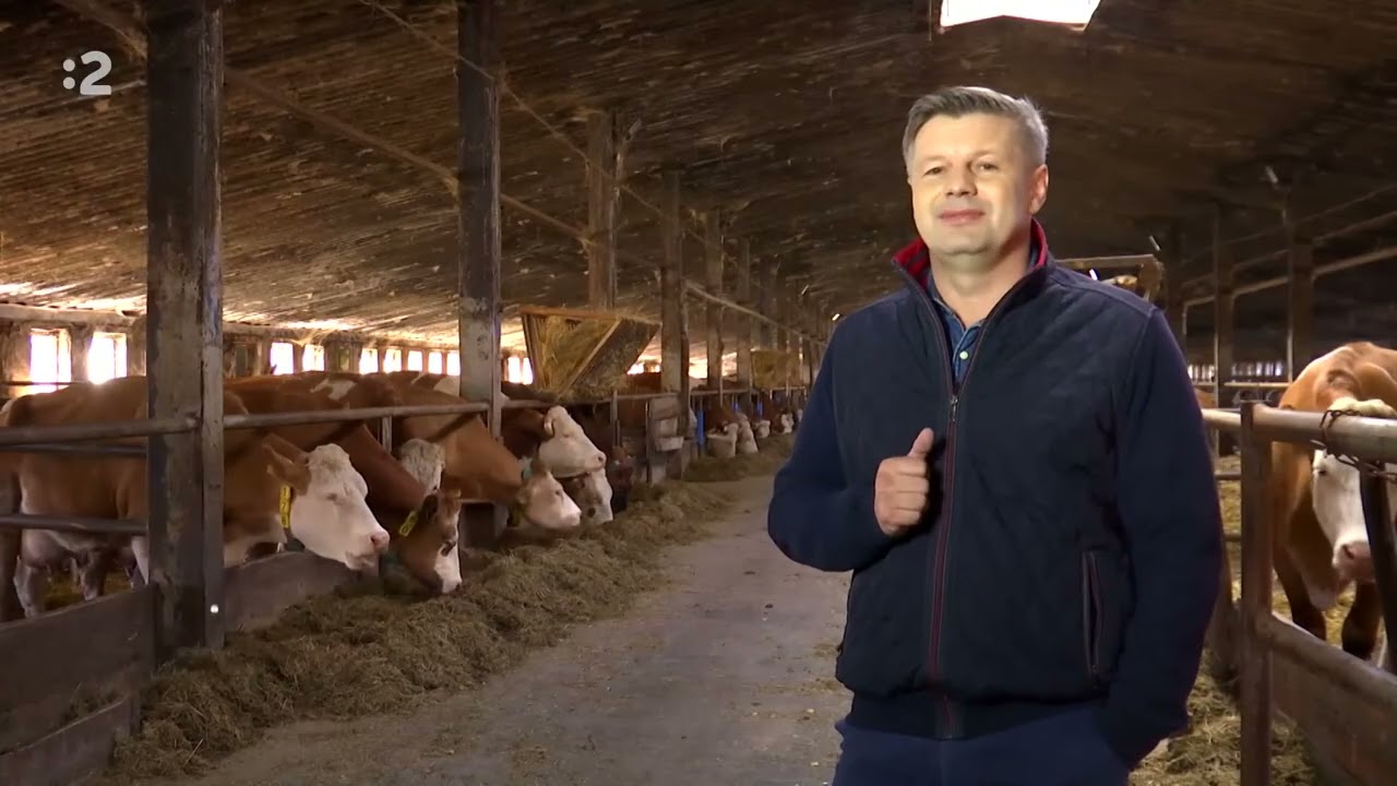 Farmárska revue - Divné Ovocie, Malý Vinár, Kravy na Mlieko