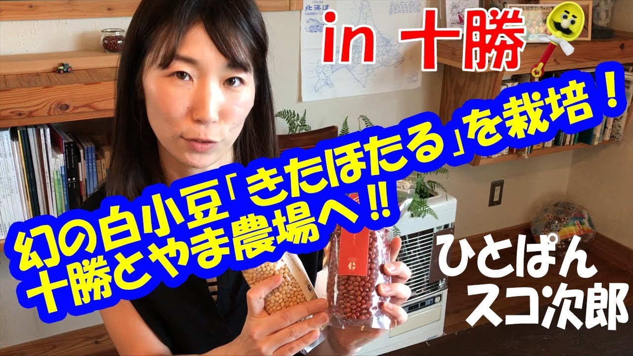 【ひとさんぽ#04】幻の小豆「きたほたる」を栽培！十勝とやま農場へ!!【住商アグリビジネス】