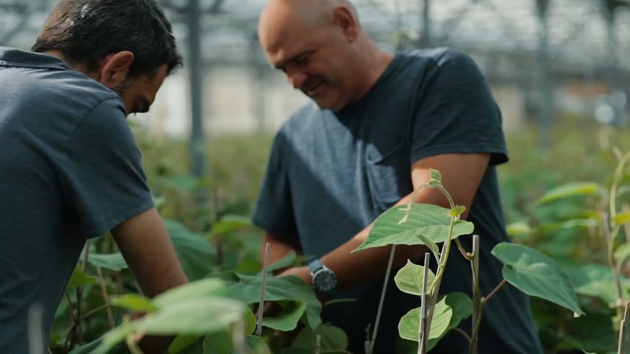 Présentation de l'Atelier Horticulture - ESAT LE ROYAL