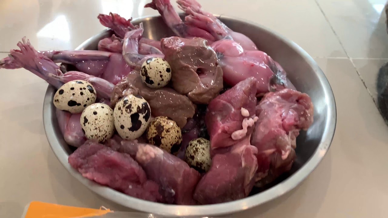 🐶🐶Pit Bull eats a RAW🐸🦵Frog Leg🐂Beef🐓Chicken Feet combo [ASMR] MUKBANG 動物の咀嚼音 | 犬が生の肉を食べる [咀嚼音]