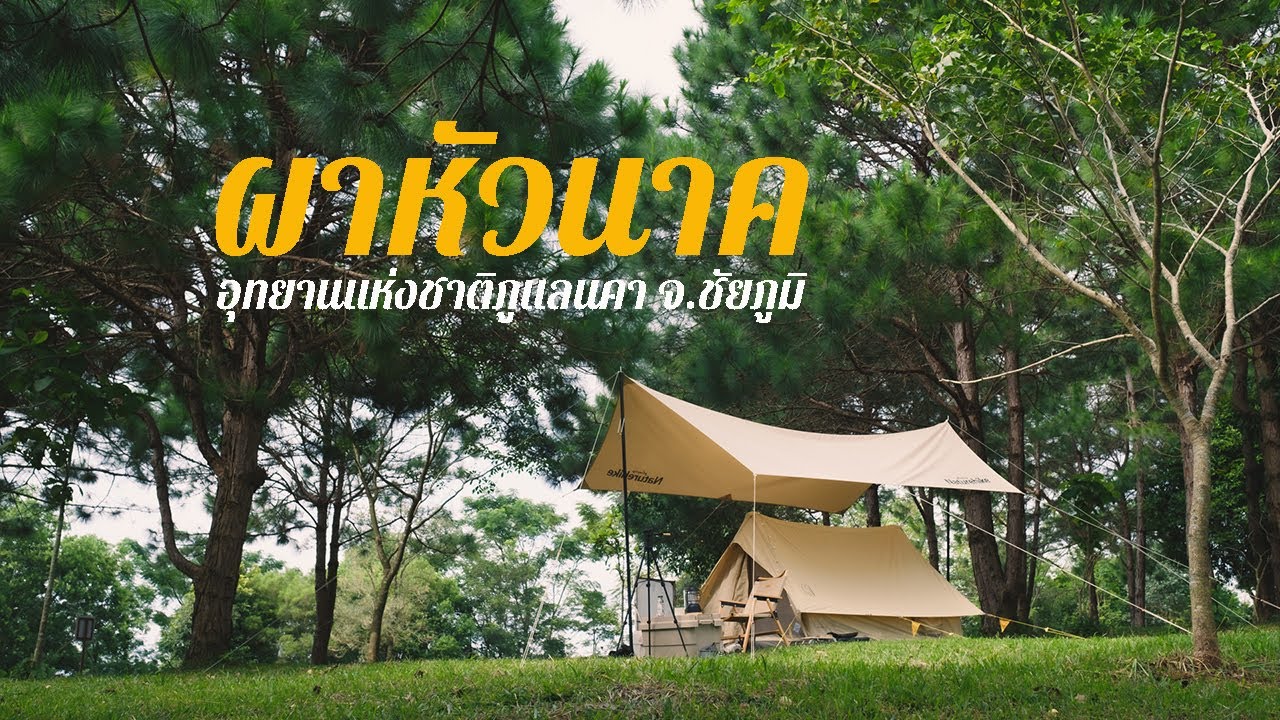 ไป Camping ที่ลานดงสน ผาหัวนาค อุทยานแห่งชาติภูแลนคา