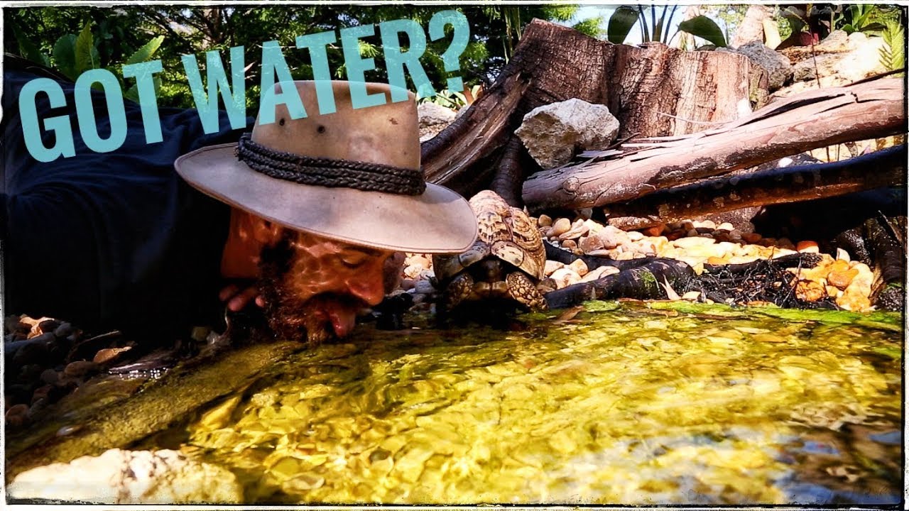 Water Source IDEAS for Torts!