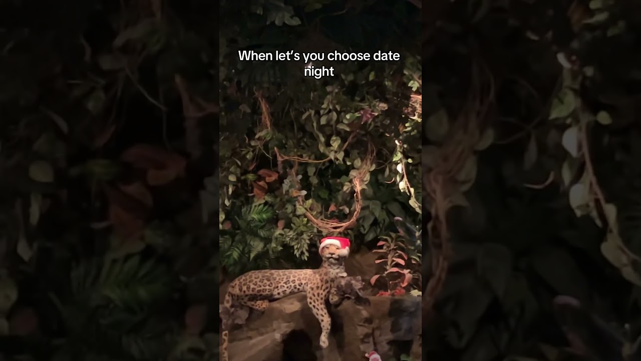 I LOVE RAINFOREST CAFE