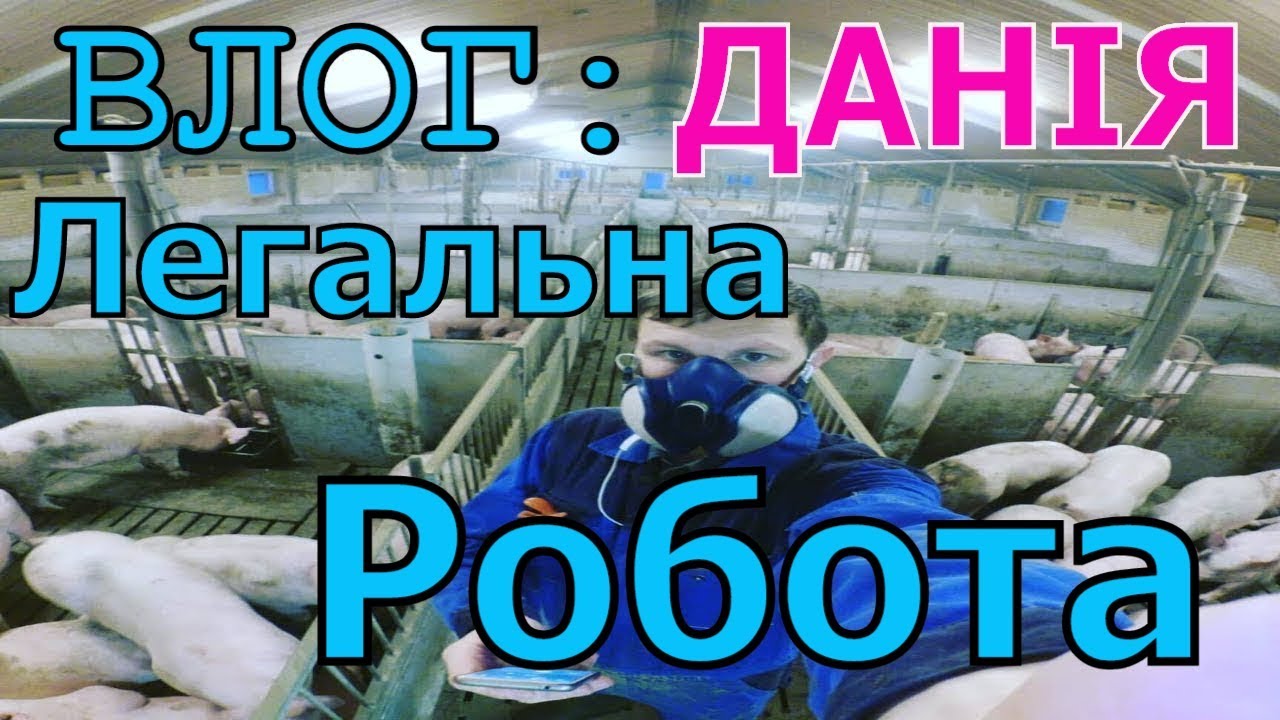 Як легально влаштуватись на роботу в Данію. ПОРЯДОК ДІЙ.