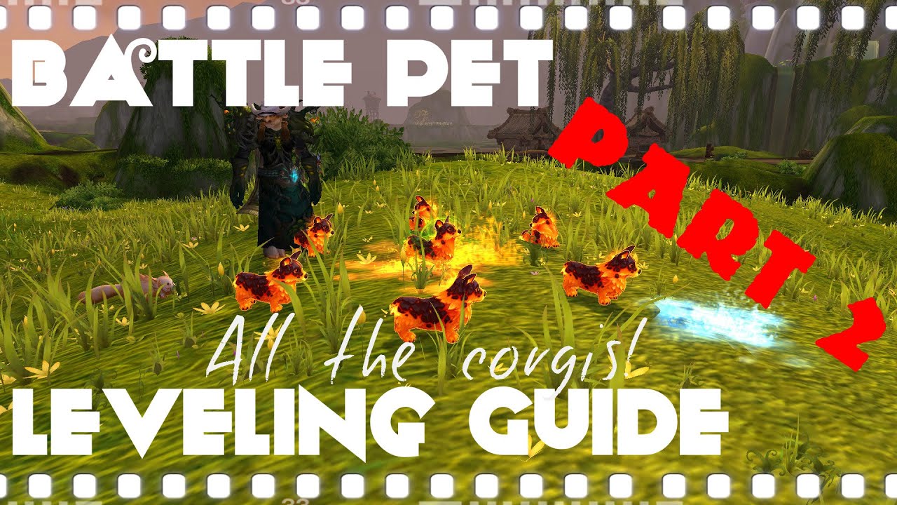 Battle Pet Leveling Guide [Part 2]