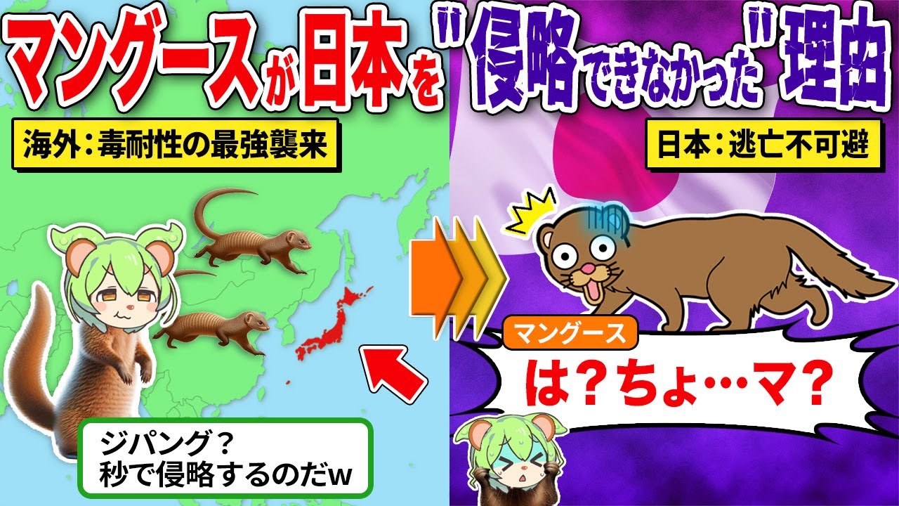外来生物マングースが日本を侵略できなかった理由