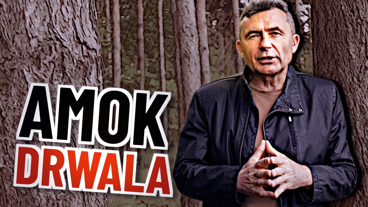 Piłował drzewa. Wpadł w szał, a to co zrobił przypadkowej kobiecie szokuje. Drwal w amoku
