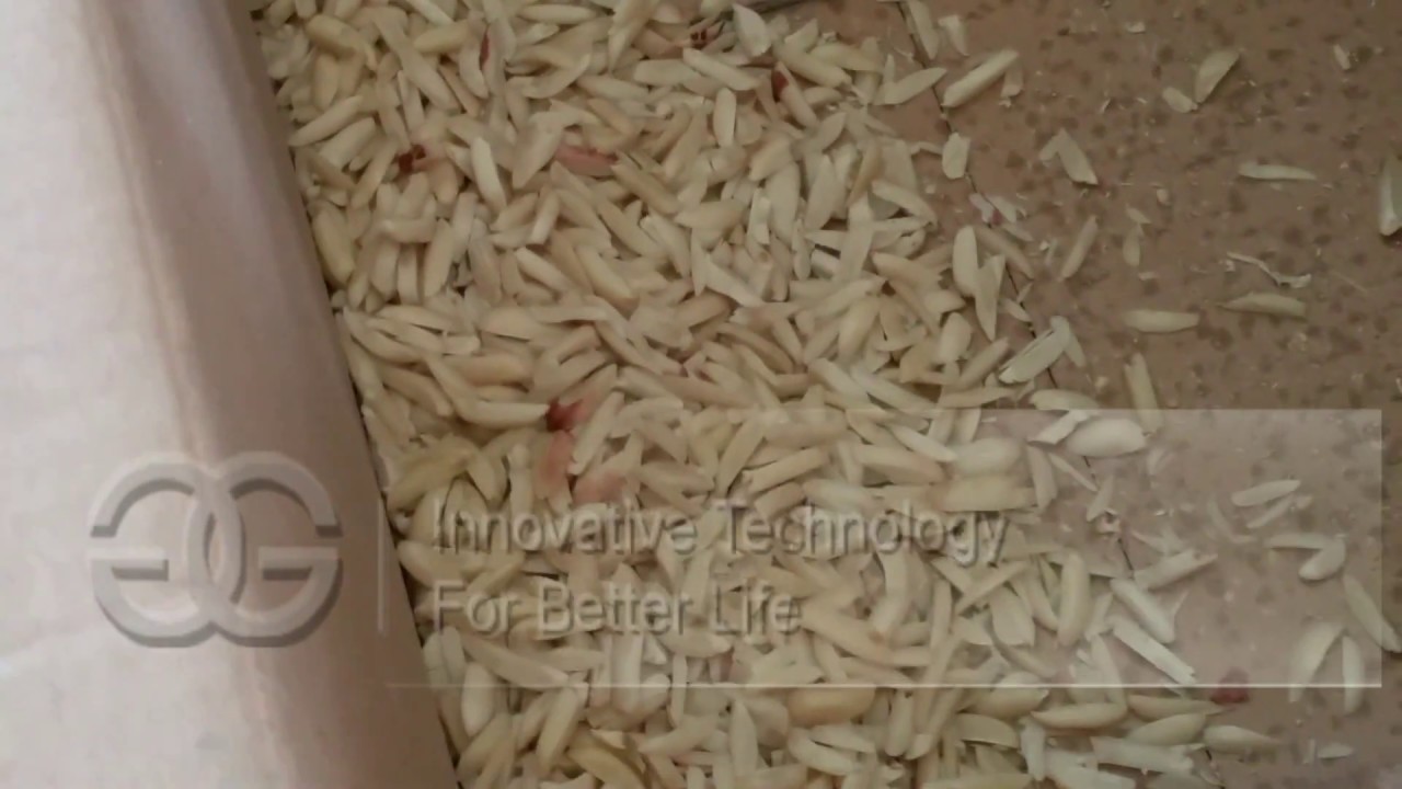 Best Price Almond Slivering Cutting Machine From cara@machinehall.com