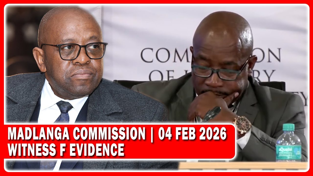 Witness F Evidence To Madlanga Commission “Chats With Cat Matlala And General Sibiya”